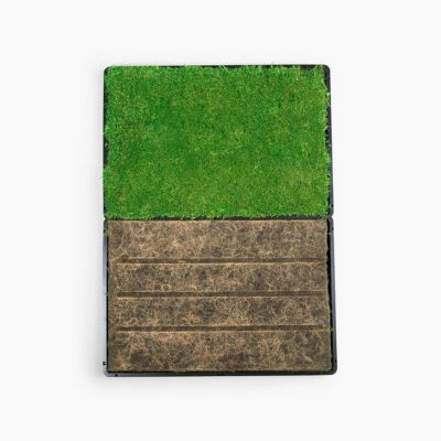 Image showing  Real Grass Pet Potty Pad Small Animal Grass Pad 2 pk. with Tray