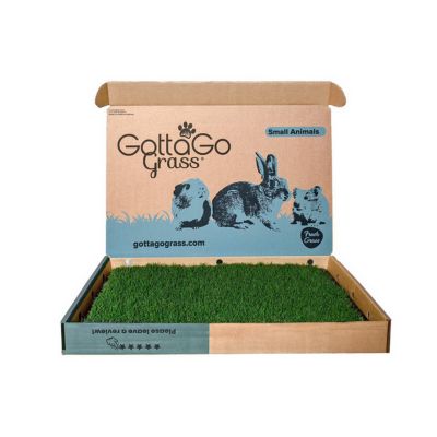 Image showing 9 th Gotta Go Grass Real Grass Pet Potty Pad Small Animal Grass Pad 2 pk. with Tray