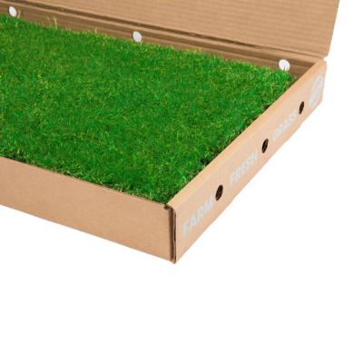 Image showing 10 th Gotta Go Grass Real Grass Pet Potty Pad Small Animal Grass Pad 2 pk. with Tray
