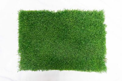 Image showing  Real Grass Pet Potty Pad Refill and Squeaky Toy