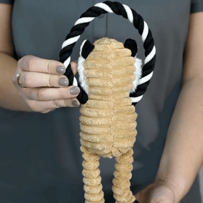 Image showing  Real Grass Pet Potty Pad Refill and Squeaky Toy