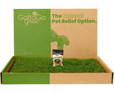 Gotta Go Grass Real Grass Pet Potty Pad Refill 2 pk. and Treat