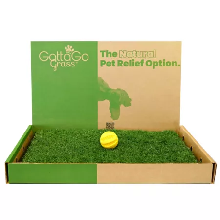 Gotta Go Grass Real Grass Pet Potty Mat Refill 2 Pack and Toy Ball Indoor Pet Potties