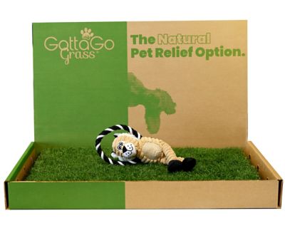 Gotta Go Grass Real Grass Pet Potty Pad Refill 2 pk. and Squeaky Toy