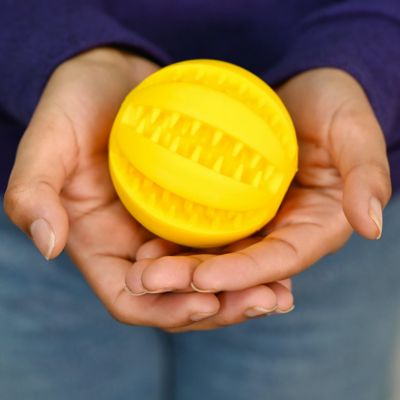 Image showing 9 th Gotta Go Grass Real Grass Pet Potty Pad with Tray and Toy Ball