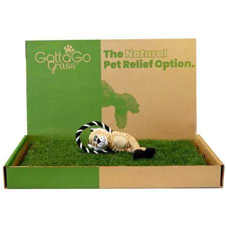 Gotta Go Grass Real Grass Pet Potty Mat with Tray and Squeaky Toy Indoor Pet Potties