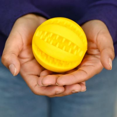 Image showing  Real Grass Pet Potty Pad 2 pk. with Tray and Toy Ball