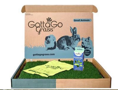 Gotta Go Grass Real Grass Small Animal Potty Pad Refill 1 pk. and Waste Bags