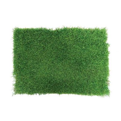 Image showing  Real Grass Small Animal Potty Pad Refill 1 pk. and Waste Bags