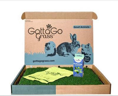 Gotta Go Grass Real Grass Small Animal Potty Pad and Tray 1 pk. and Waste Bags