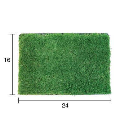 Image showing  Real Grass Small Animal Potty Pad and Tray 1 pk. and Waste Bags