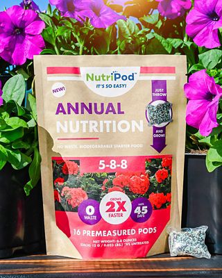 Image showing  Precise Plant Nutrition for Annuals