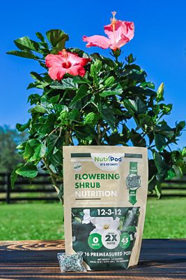 Image showing  Precise Plant Nutrition for Shrubs