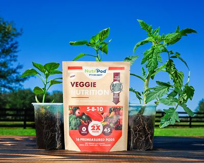 Image showing  Precise Plant Nutrition for Vegetables