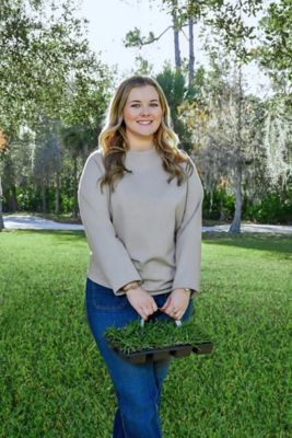 Image showing  St Augustine ProVista Tray 16 pk. Grass Plugs