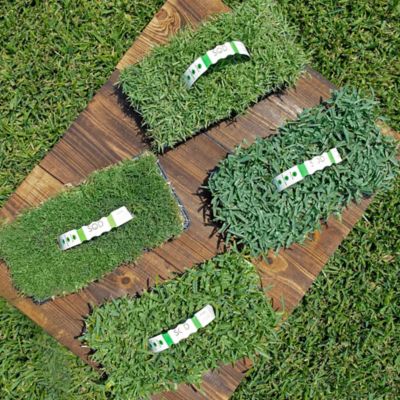 Image showing  Multi Variety 32 pk. Grass Plugs