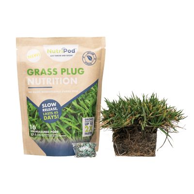 SodPods Bermuda Grass Plugs 32 pk., NutriPod Bundle