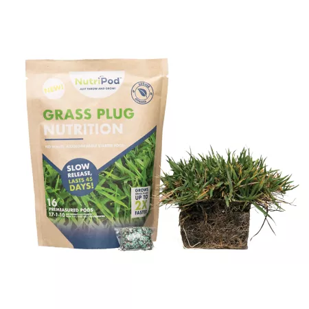 SodPods Bermuda Grass Plugs 32 Pack NutriPod Set Ground Cover Plants