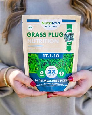 Image showing 5 th SodPods Bermuda Grass Plugs 32 pk., NutriPod Bundle