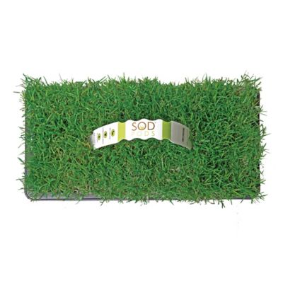 SodPods Bermuda Grass Plugs 64 pk., NutriPod Bundle