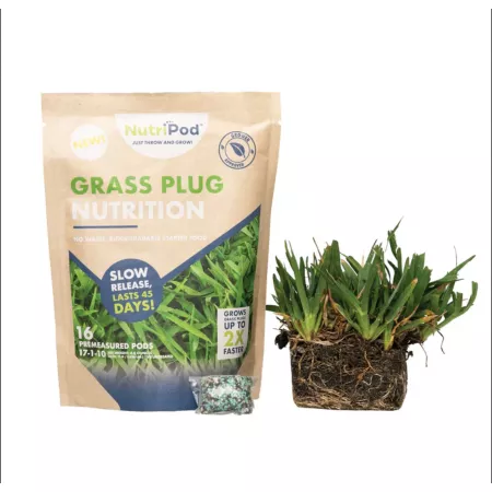 SodPods St Augustine Palmetto Grass Plugs 64 pk NutriPod Bundle Ground Cover Plants