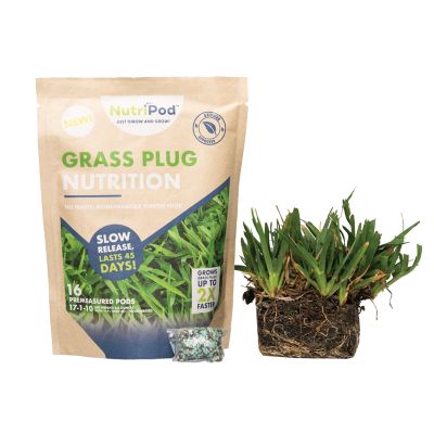 SodPods St Augustine Seville Grass Plugs 16 pk., NutriPod Bundle