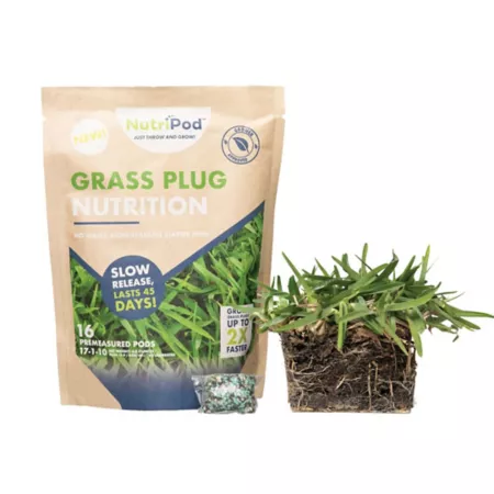 SodPods CitraBlue Grass Plugs 16 Pack NutriPod Set Ground Cover Plants