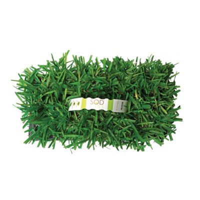 Image showing  Provista Grass Plugs 32 pk., NutriPod Bundle