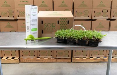 Image showing 5 th SodPods St Augustine Floratam Grass Plugs 16 pk., SP Power Planter