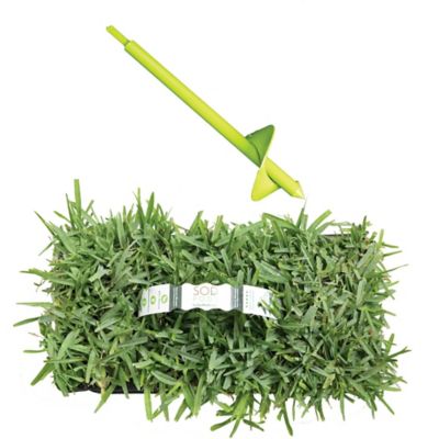 Image showing  St Augustine Floratam Grass Plugs 64 pk., SP Power Planter