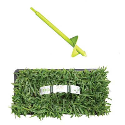 Image showing  St Augustine Palmetto Grass Plugs 16 pk., SP Power Planter