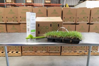 Image showing 5 th SodPods Zoysia Grass Plugs Plants, SP Power Planter Bundle, 16 pc.