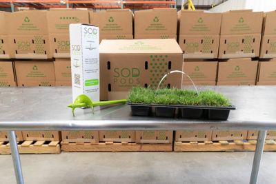 Image showing 5 th SodPods Bermuda Grass Plugs Plants, SP Power Planter Bundle, 64 pc.