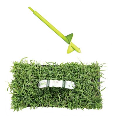 Image showing  Centipede Grass Plugs 64 pk., SP Power Planter Bundle