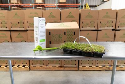 Image showing 5 th SodPods Centipede Grass Plugs 64 pk., SP Power Planter Bundle