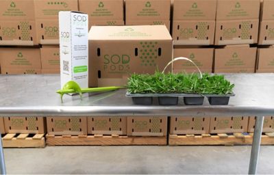 Image showing 5 th SodPods Provista Grass Plugs 16 pk., SP Power Planter