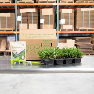 Image showing  Seville Grass Plugs 16 pk., SPPlanter, NutriPod Bundle