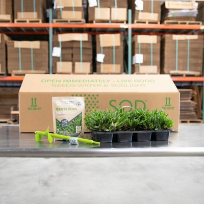 Image showing  St Augustine Floratam Grass Plugs 16 pk., SPPlanter, NutriPod Bundle