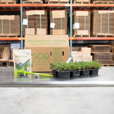 Image showing  Zoysia Grass Plugs 64 pk., SPPlanter, NutriPod Bundle