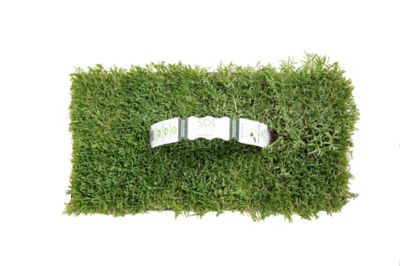Image showing 5 th SodPods Bermuda Grass Plugs 16 pk., SPPlanter, NutriPod Bundle