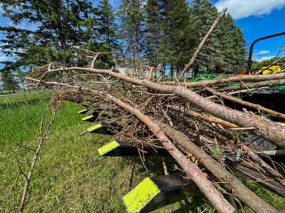 Image showing  Debris Forks