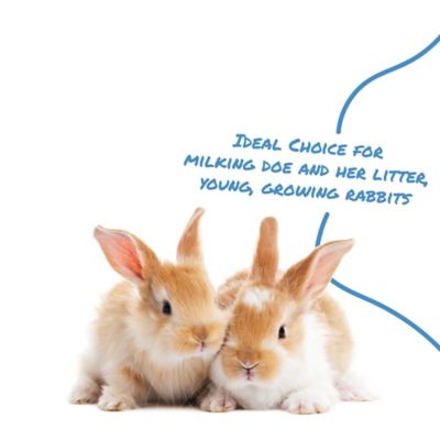 Image showing  Select Series Pro Formula Complete Pelleted Rabbit Food