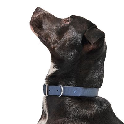 Image showing  Dog Collar, Navy, Large