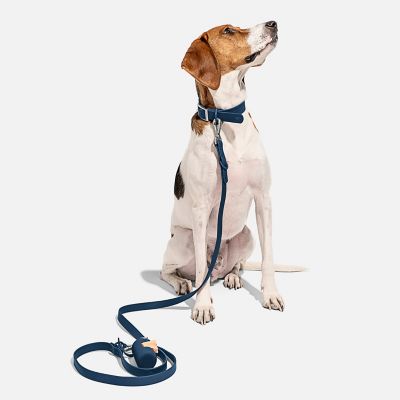 Image showing  Dog Collar, Navy, Large