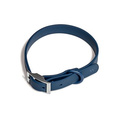 Wild One Dog Collar, Navy, Medium