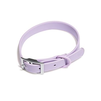 Wild One Dog Collar, Lilac, Medium