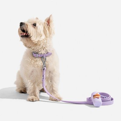 Image showing  Dog Collar, Navy, Large