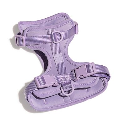 Wild One Dog Harness -Lilac, Small