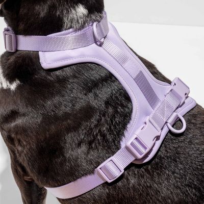 Image showing  Dog Harness, Blue, Large