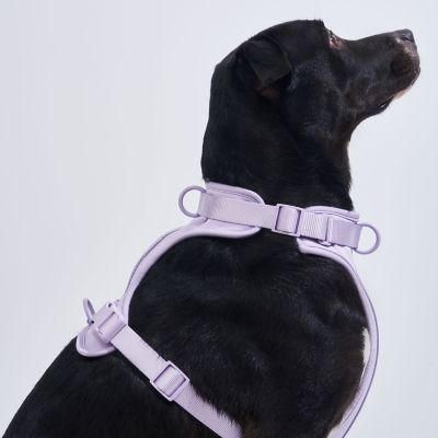 Image showing  Dog Harness, Blue, Large